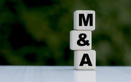 M&A công ty tài chính và làn sóng thứ 2: Vì sao hấp dẫn khối ngoại?