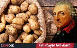 Những củ khoai tây trên mộ của vị vua Đức và câu chuyện biến củ khoai ‘không mùi không vị, đến chó cũng không muốn ăn’ thành loại rau quý giá