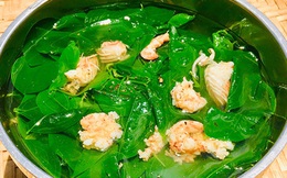 Đây là sai lầm tai hại khi ăn rau ngót, nhiều người Việt không biết để tránh