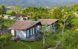 Đầu tư farmstay: Cuộc chơi của “đại gia” tiền tỷ