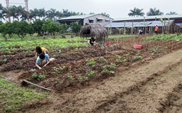 Đại gia lao tâm khổ tứ vì chôn hàng chục tỉ đồng vào farmstay, mua đất 6 triệu đồng/m2 lúc sốt, rao bán mãi không ai mua, phải bán cho chủ cũ 3 triệu đồng/m2