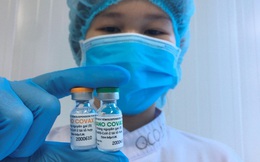 Đang đàm phán để đưa vắc xin Nanocovax của Việt Nam sang thử nghiệm và sản xuất đại trà tại Ấn Độ