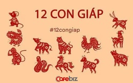 Tử vi tài lộc tháng 7 cô hồn của 12 con giáp: Tị hưởng lộc trời ban, Dần sóng gió bủa vây, Sửu thăng tiến như diều gặp gió