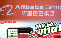 Quỹ đầu tư do 'ông lớn' Alibaba chống lưng rót tiền vào Homefarm