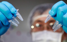 Vaccine mRNA mới sắp được sản xuất ở sát Việt Nam: Niềm hi vọng để đất nước tỷ dân thoát cảnh "bế quan tỏa cảng"?