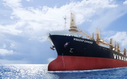 Một công ty vận tải biển của Vinalines hồi sinh, giá tăng gấp 8 lần trong 6 tháng