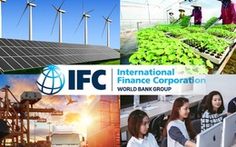 IFC: 5 lĩnh vực sẽ tạo ra khác biệt cho tăng trưởng kinh tế Việt Nam nếu có sự xuất hiện của doanh nghiệp tư nhân