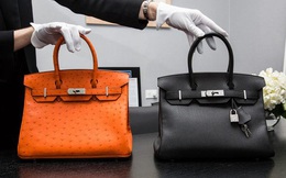 Giải mã sức hút của túi Hermès Birkin đối với giới siêu giàu: Sở hữu một chiếc túi là khoản đầu tư hấp dẫn, còn hơn cả vàng và chứng khoán