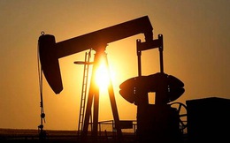 Giá dầu vượt 80 USD, Nhà Trắng điện đàm với OPEC
