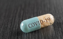 Pfizer bắt đầu thử nghiệm thuốc uống ngừa COVID-19