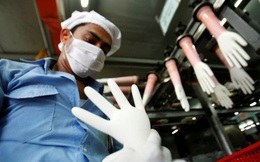 Thời tới không cản nổi, lợi nhuận các doanh nghiệp găng tay y tế Việt Nam tăng phi mã lên vài trăm tỷ sau nhiều năm lãi "bèo bọt"