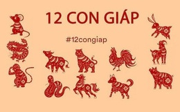 Chi tiết tử vi tài lộc tháng 8 âm lịch của 12 con giáp: Mùi gặp sự cố trở tay không kịp, Ngọ bất ngờ 'nhảy sóng' và vận đen gọi tên 4 con giáp