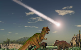 Trớ trêu thay, thiên thạch Chicxulub tuyệt diệt loài khủng long rơi xuống Trái Đất vào mùa xuân