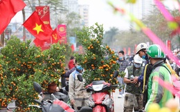 Một quận ở Hà Nội quyết định miễn phí thuê mặt bằng cho người bán hoa, cây cảnh Tết