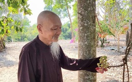 Có hay không mật thất bí ẩn ở Tịnh Thất Bồng Lai: Người nhiều năm thu nhập bằng chứng sai phạm của ông Lê Tùng Vân tiết lộ bất ngờ