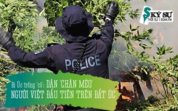 8 lần vào tù nước Úc của ông 'Trùm' người Việt - 15 tuổi vượt biên, trượt dài với ma túy