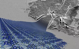 Đan sợi phân tử thành vải, các nhà nghiên cứu Anh lập kỷ lục nhờ tạo ra lớp vải mịn nhất thế giới