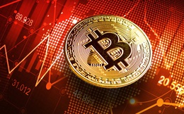 Thị trường tiền số ‘tắm máu’, giá Bitcoin có lúc chỉ còn 39.000 USD