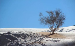 Tuyết rơi nhiều biến sa mạc Sahara thành xứ sở mùa đông