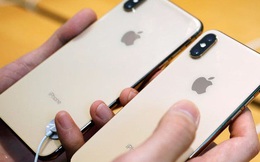 Giá chỉ khoảng 8 triệu, cấu hình khoẻ, mẫu iPhone hơn 3 năm tuổi này đang được lùng mua nhiều nhất tại Việt Nam