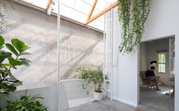 "Nhà áo mưa": Nhà kính sáng sủa, thông thoáng, giải pháp cho nhà trong hẻm giữa đô thị Hà Nội chật hẹp