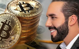 Rơi ở đâu gấp đôi ở đấy, Tổng thống El Salvador tiếp tục ‘bắt đáy’ 410 bitcoin giá chỉ 15 triệu USD