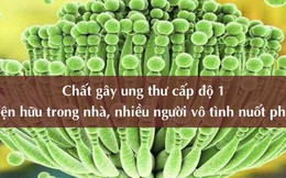 Chất gây ung thư cấp độ 1 được cảnh báo tại nhiều quốc gia, độc tính gấp 10 lần kali xyanua: Hóa ra hiện hữu ngay trong nhà