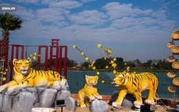 Khác hẳn hổ "thảm hoạ", tượng hổ ở Huế có gì khiến người dân tự hào đẹp nhất Việt Nam?