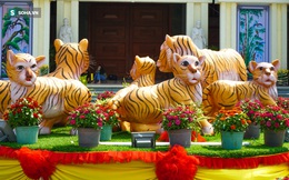 "Cuộc đua" linh vật chào xuân Nhâm Dần trên cả nước: Hổ Đồng Nai xuất hiện đầy ngơ ngác