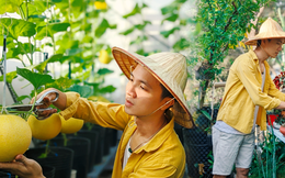 Chàng kiến trúc sư trẻ biến sân thượng thuê trọ thành vườn cây trái sum suê, nổi bật giữa trung tâm Sài Gòn