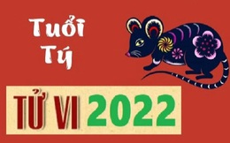 Tử vi TUỔI TÝ năm 2022: Hạn Tam Tai gõ cửa, sẵn sàng ứng phó với tình huống xấu nhất trong sự nghiệp!