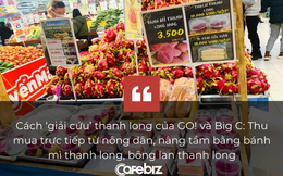Cách ‘giải cứu’ thanh long của GO! và Big C: Thu mua trực tiếp từ nông dân, bán giá 13.000 đồng/kg, nâng tầm trái cây Việt bằng bánh mì thanh long, bông lan thanh long