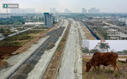 Soi tuyến đường vành đai nghìn tỷ ở Hà Nội - 4 năm lỗi hẹn, thành nơi chăn bò
