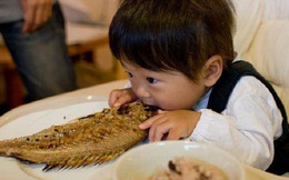 Những loại cá bị xếp vào "danh sách đen", tốt nhất không nên cho trẻ nhỏ ăn vì vừa dễ gây bệnh lại làm tổn thương nhiều cơ quan trong cơ thể