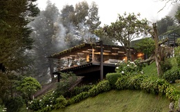 Mirador House - ngôi nhà kính giữa rừng lý tưởng giữa đại dịch Covid