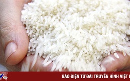 Giá gạo Ấn Độ cao nhất trong 1,5 năm qua