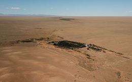 Phong trào trồng cây chống sa mạc hoá tại Gobi