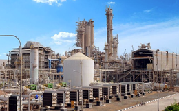 Giải pháp mới cho cơn khát dầu của Châu Âu: Amoniac xanh!