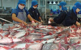 Cadovimex, Bianfishco, Hùng Vương...: "Phất" nhanh nhờ xuất khẩu tôm cá, đứng đầu ngành rồi nhanh chóng lụn bại, lỗ cả nghìn tỷ, thậm chí nộp đơn phá sản