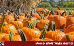 Ăn bí ngô có giúp giảm cân và đẹp da?