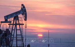Tổng thư ký OPEC: Thị trường dầu mỏ trải qua giai đoạn biến động mạnh