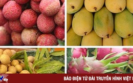 Làm gì để tăng hiệu quả xuất khẩu trái cây Việt?