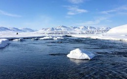 Khám phá sốc ở Bắc Cực chỉ ra khả năng về đại dịch tiếp theo