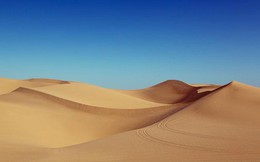 Công nghệ 'kỳ diệu' biến cát sa mạc cằn cỗi thành đất màu mỡ có thể trồng trọt chỉ trong 7 tiếng