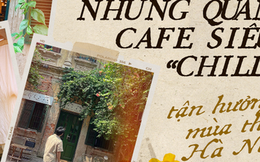 Ôm trọn mùa thu vào lòng tại các quán cà phê "tình bể bình" ở Hà Nội