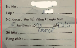 Thu phí nghỉ trưa 15.000 đồng/giờ mỗi học sinh, hiệu trưởng Trường Marie Curie nói gì?