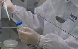 Công ty Việt Nam hợp tác quốc tế nghiên cứu thành công giải pháp giúp giảm triệu chứng nhiễm cúm A