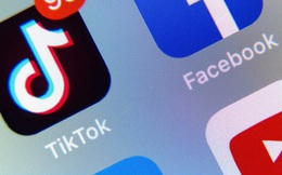 Yêu cầu Facebook, Google, TikTok... ngăn chặn, gỡ bỏ hàng chục nghìn nội dung vi phạm