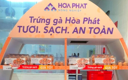 Vua thép Hòa Phát "dội bom trứng gà", bán hơn 1 triệu quả/ngày kể từ đầu tháng