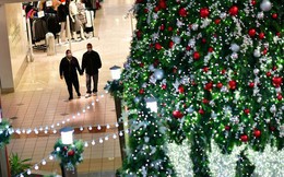 Nỗi lo về một Giáng sinh rất khác trong năm nay: Cây thông đắt đỏ hơn, quà tặng cũng ít ỏi
